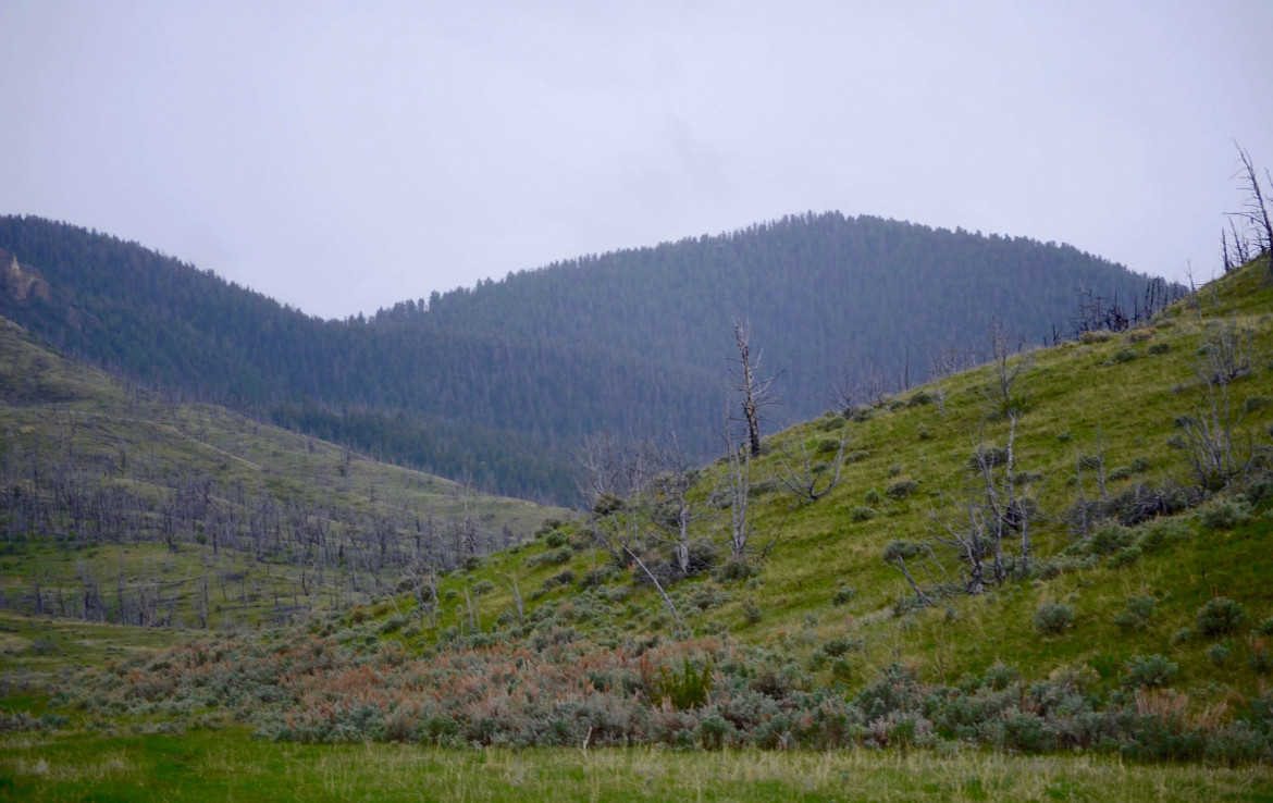 Baird Peak Ranch Western Land