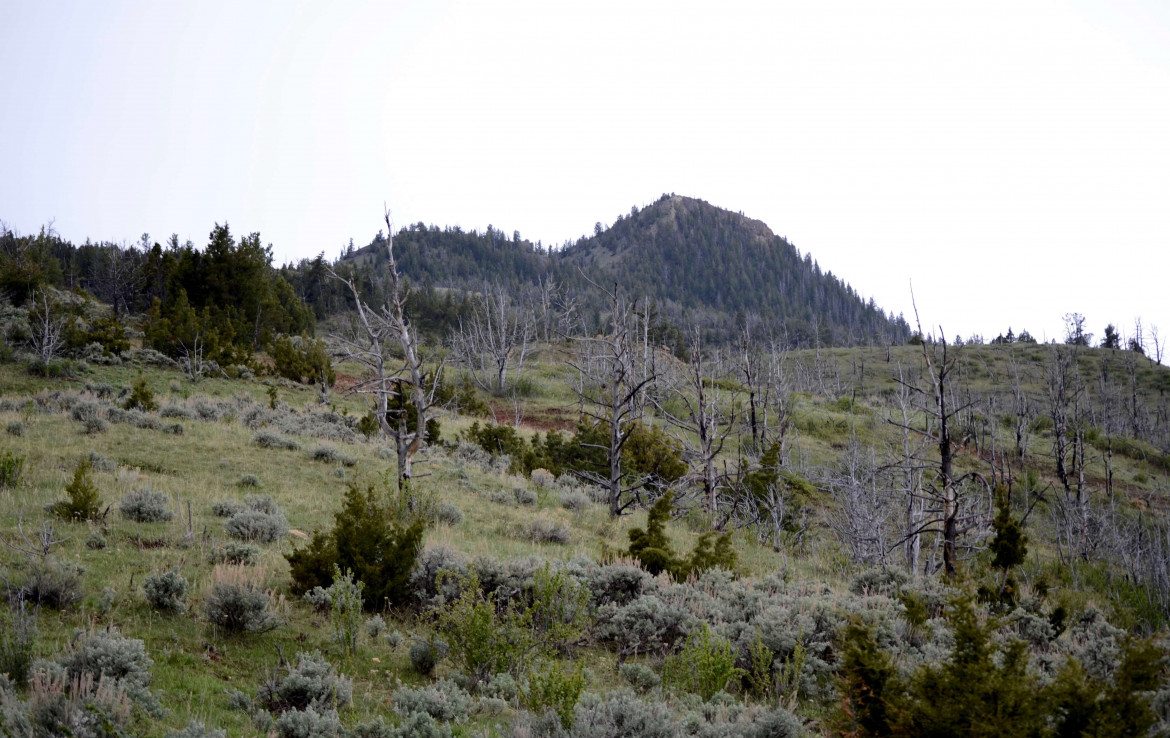 Baird Peak Ranch Western Land